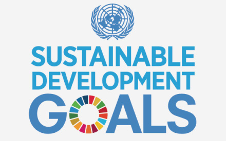 Sustainable Development Goals：SDGs